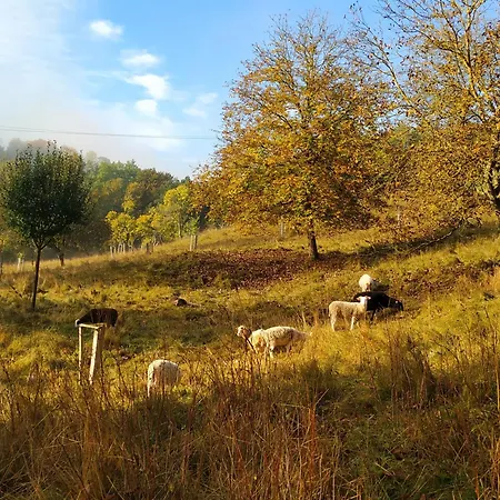 Nonnetit Hébergement de vacances *